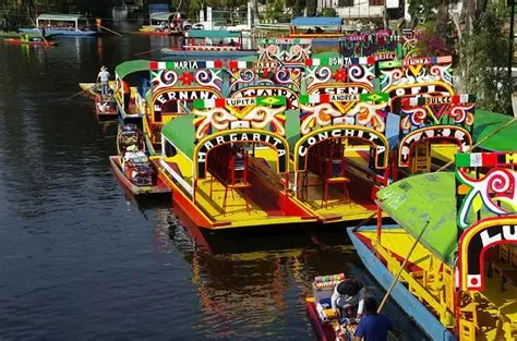  The Xochimilco Voyage：A Tale Woven From Ethiopian Dreams and Desperation!